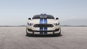 Ford Mustang, Shelby, Ford, 2019 Cars, Cars, 4K wallpaper