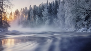 Winter, Nature, 4K wallpaper