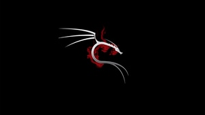 Kali Linux, Ubuntu, Linux, Logo, Computer, 4K wallpaper