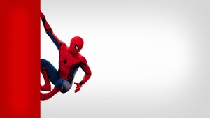 Spiderman, Superheroes, Artwork, Digital Art, Art, 4K wallpaper