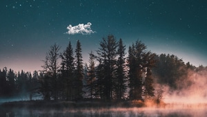 Lake, Nature, Trees, Photography, Behance, 4K wallpaper