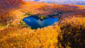 Heart Shaped Lake, Autumn Forest, Fall Colors, Aesthetic, 4K wallpaper