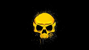 Skull, Artist, Artwork, Digital Art, 4K wallpaper