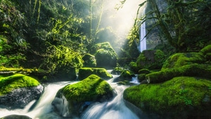 River, Nature, 4K wallpaper