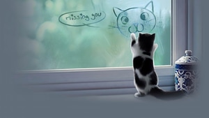 Cat, Animals, Artist, Artwork, Digital Art, 4K wallpaper