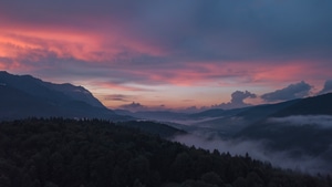 Trees, Sunset, Nature, 4K wallpaper
