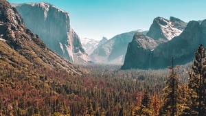 Mountains, Forest, Nature, 4K wallpaper