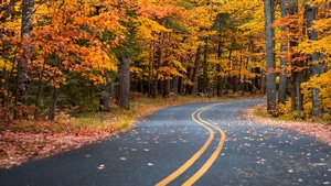 Road, Autumn, Photography, 4K wallpaper