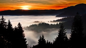 Trees, Clouds, Nature, 4K wallpaper