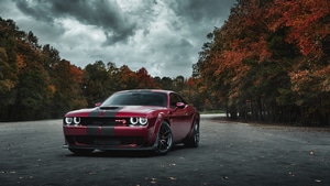 Dodge Challenger Srt Hellcat Widebody, Dodge Challenger, 2019 Cars, Behance, 4K wallpaper