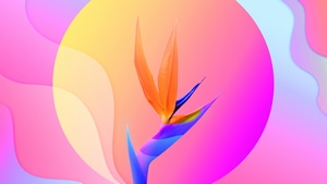 Artist, Artwork, Digital Art, Behance, 4K wallpaper