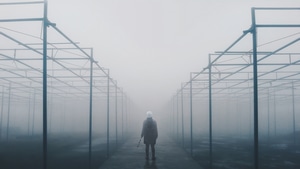 Alone, Fog, Photography, Artstation, 4K wallpaper