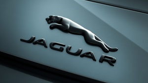 Jaguar, Logo, Pastel green, Matte, 4K wallpaper