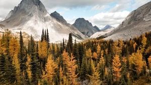 Autumn, Nature, 4K wallpaper