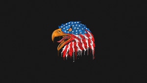 Eagle, Usa, America, Artist, Artwork, Digital Art, Minimalism, Minimalist, Black, Dark, 4K wallpaper