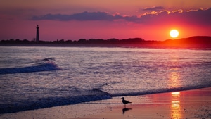 Shore, Sea, Sunset, Nature, 4K wallpaper