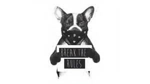 Dog, Artist, Artwork, Digital Art, 4K wallpaper