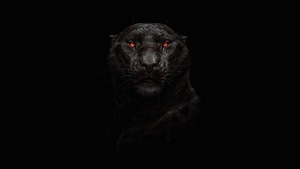 Tiger, Artist, Artwork, Digital Art, 4K wallpaper