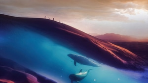 Desert, Dolphin, Artist, Artwork, Digital Art, Behance, 4K wallpaper
