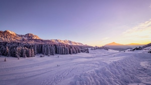 Winter, Snow, Trees, Nature, 4K wallpaper
