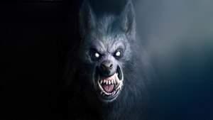 Wolf, Artist, Artwork, Digital Art, 4K wallpaper