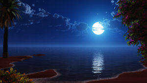 Beach, Night, Seascape, Moon, Blue Sky, 4K wallpaper
