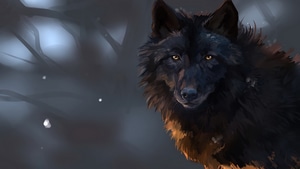 Wolf, Animals, Artist, Artwork, Digital Art, 4K wallpaper