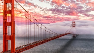Golden Gate Bridge, Morning, Photography, 4K wallpaper