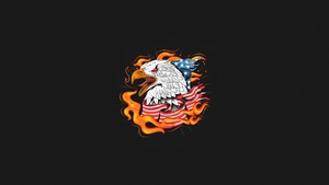 Eagle, Birds, Artist, Artwork, Digital Art, Minimalism, Minimalist, Dark, Black, Oled, 4K wallpaper