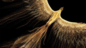 Phoenix, Fire bird, Honor, Stock, Golden, Black background, 4K wallpaper