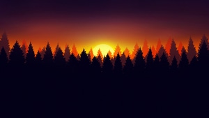 Forest, Morning, Artist, Artwork, Digital Art, 4K wallpaper