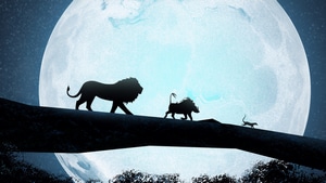 The Lion King, Lion, 2019 Movies, Movies, Disney, Simba, Deviantart, 4K wallpaper