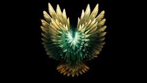 Wings, Feathers, Black background, AMOLED, Luminescence, 4K wallpaper