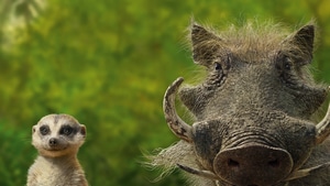 The Lion King, 2019 Movies, Movies, Pumbaa, 4K wallpaper