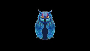 Owl, Animals, Dark, Black, 4K wallpaper