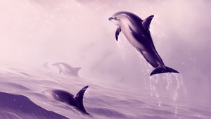 Dolphin, Fish, Animals, Artist, Artist, Artwork, Digital Art, Deviantart, 4K wallpaper