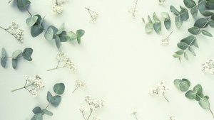 Leaves, Sage green, Aesthetic, 4K wallpaper