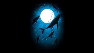 Moonlight, Underwater, Swimming, Whales, Black background, Night, 4K wallpaper