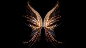 Angel wings, Black background, Honor, Stock, 4K wallpaper