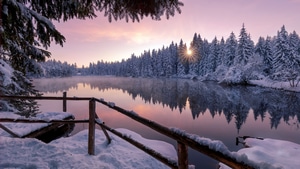 Winter, Snow, Trees, Nature, Lake, 4K wallpaper
