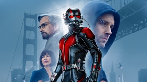Ant Man, Movies, 4K wallpaper