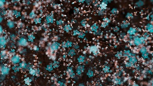 Blue flowers, Floral Background, Macro, 4K wallpaper