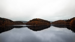 Autumn, Forest, Lake, Nature, 4K wallpaper