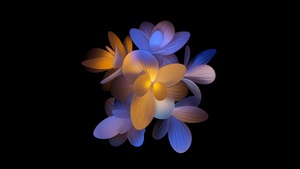 Abstract flower, Floral, Black background, Honor, Stock, 4K wallpaper
