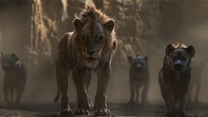 The Lion King, Lion, 2019 Movies, Movies, Disney, 4K wallpaper