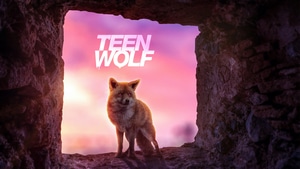 Teen Wolf, Tv Shows, Wolf, Behance, 4K wallpaper