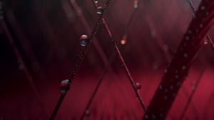 Abstract, Digital Art, Drops, Behance, 4K wallpaper