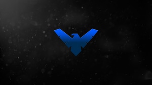 Nightwing, Superheroes, Logo, 4K wallpaper