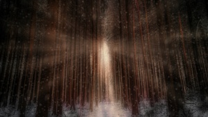Winter forest, Sunlight, Snowfall, 4K wallpaper