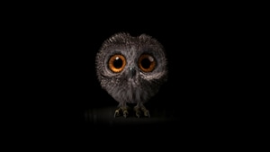 Owl, Birds, Artist, Artwork, Digital Art, 4K wallpaper